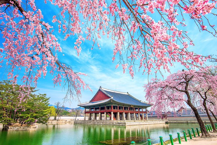 Full-day Customizable Private Seoul Highlight Tour