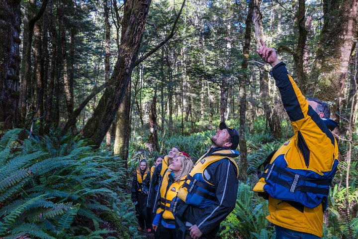 Jet Boat Journey through Fiordland National Park - Pure Wilderness