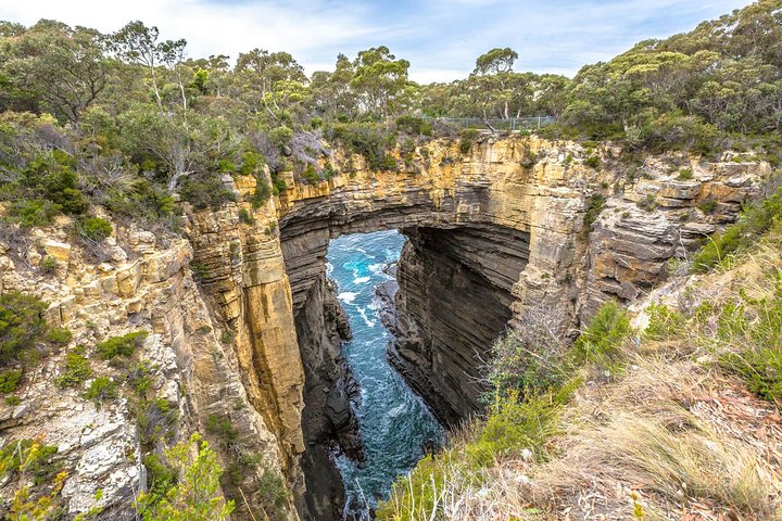 Port Arthur Deep History Tour|Guided by a Convict Descendant