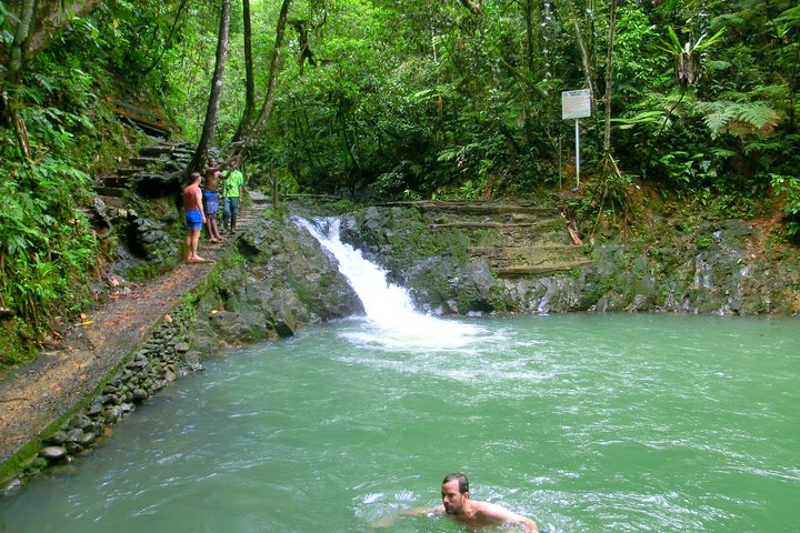 Private Suva Nature and Waterfall Tour
