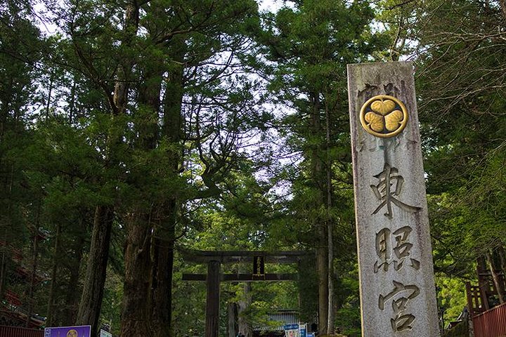 Nikko Toshogu, Edo Wonderland, and more | Licensed Guide &Driver