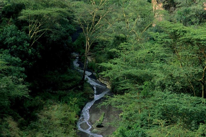 1 Day trip to Hells Gate and optional Lake Naivasha From Nairobi