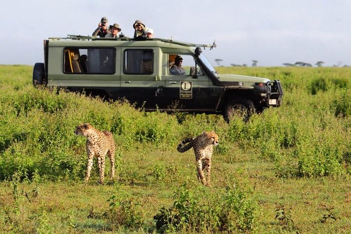 9-Days Discover Kenya Private Safari