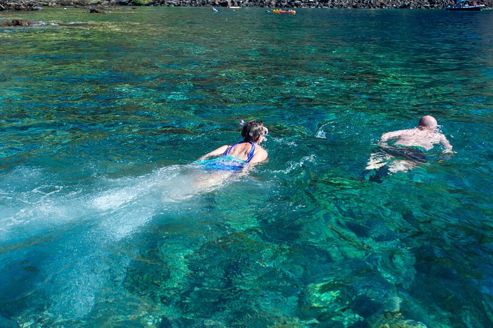 Big Island: Captain Cook Snorkel On A Power Catamaran With Lunch