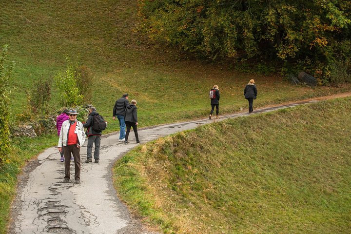 Heidiland and Liechtenstein Tour from Zurich