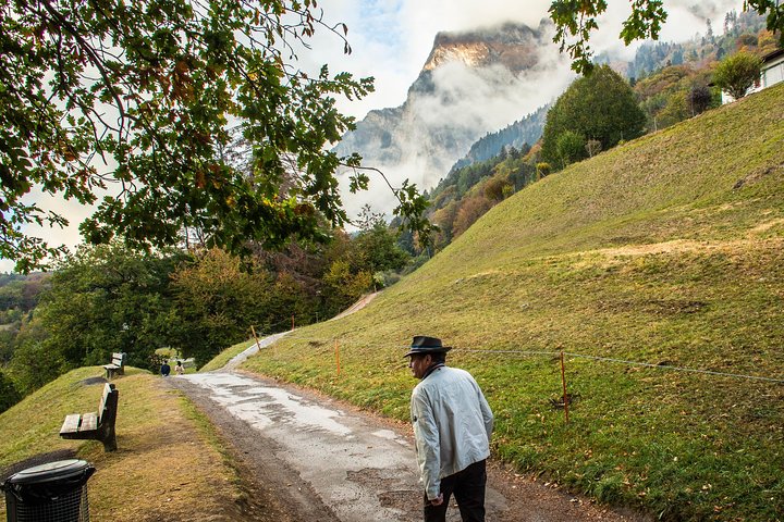 Heidiland and Liechtenstein Tour from Zurich