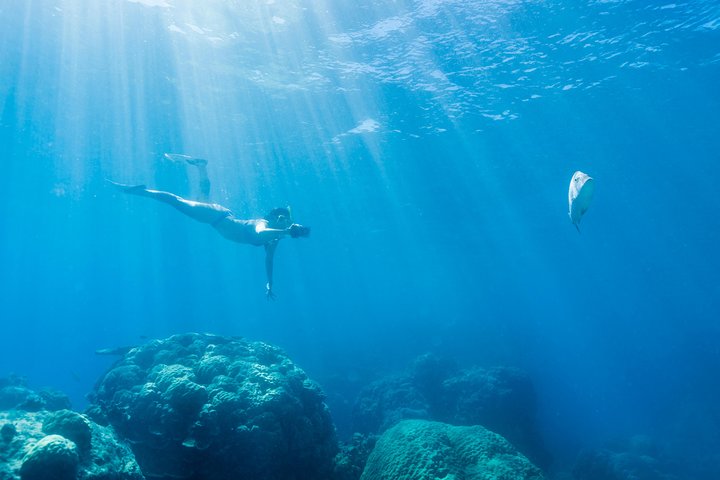 Great Barrier Reef Snorkeling and Diving Cruise from Cairns