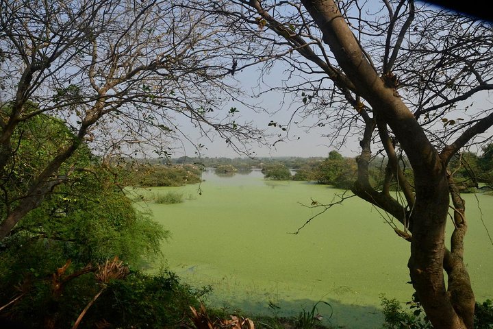 Wild life tour in Chennai with guide and private car