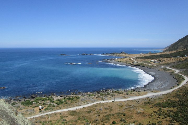 "Pinot to Palliser tour" - Guided tour to Cape Palliser vith lunch + winetasting
