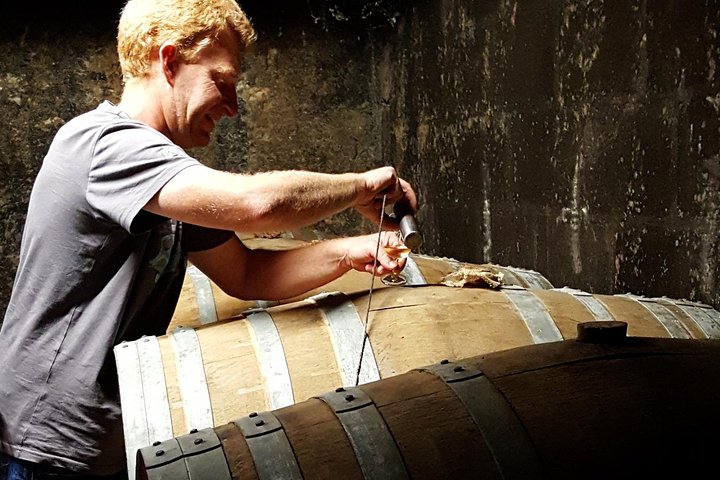 Private day-tour from Cognac : Vineyard and Craft Distilleries with Tastings