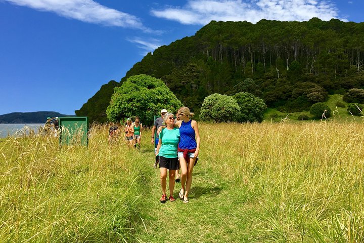 3 Hours // Hole in the Rock Cruise & Bay of Islands Tour