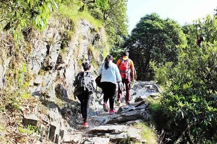 Hiking Day Tour to Triund from Dharamshala