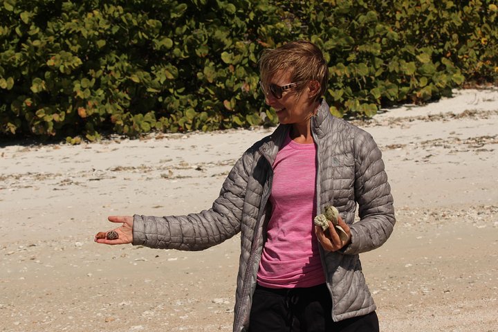 Everglades Small Group Guided Boating & Walking Tour Expedition