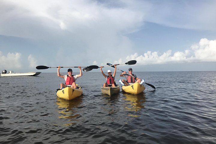 Small Group Boat, Kayak and Walking Guided Eco Tour Everglades