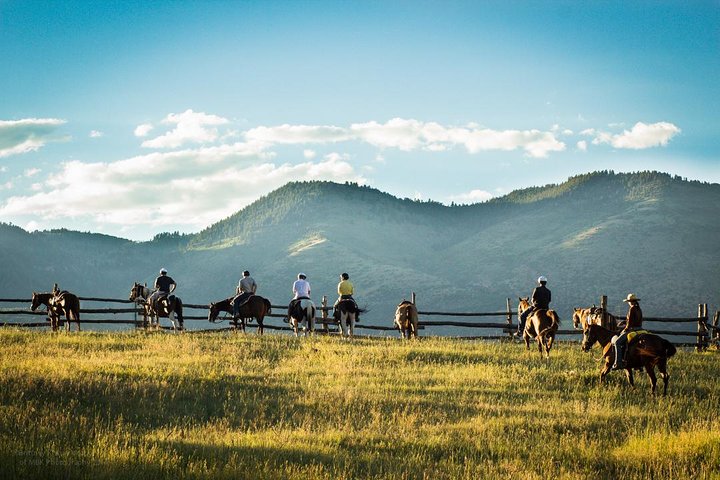 1 Hour Horseback Ride