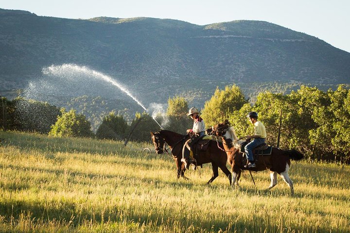 1 Hour Horseback Ride