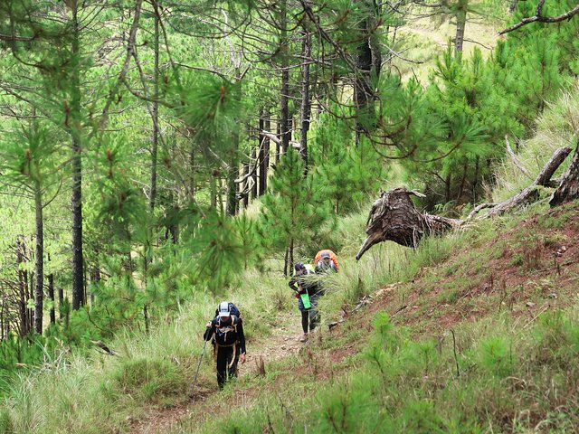 Hiking Day Tour to Triund from Dharamshala
