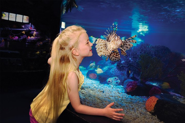Sea Life Charlotte Concord Aquarium Admission Ticket