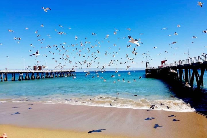 Transfer to San Antonio port prior cruise with tour in Valparaiso and Casablanca