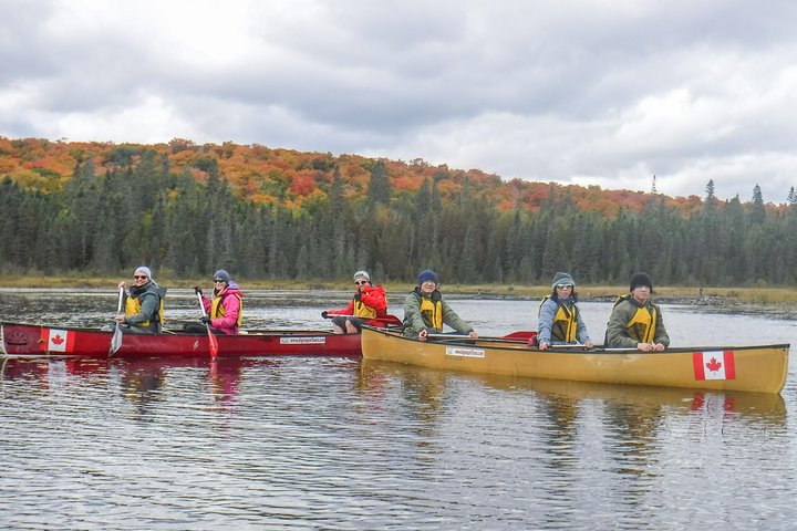 6 Hour Algonquin Park Canoe Trip
