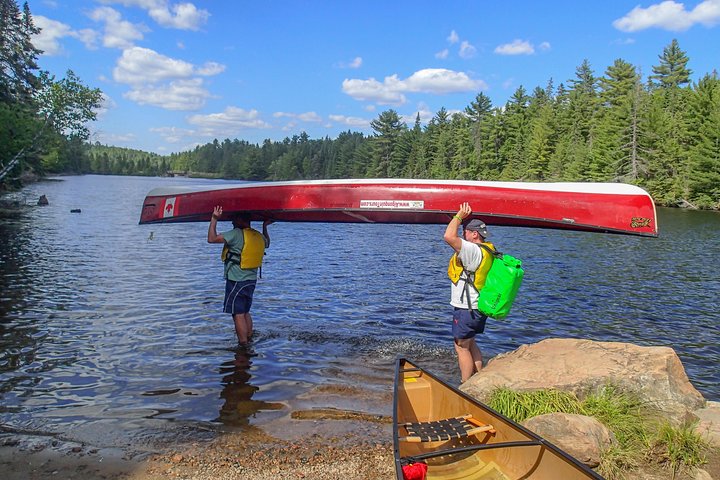 6 Hour Algonquin Park Canoe Trip