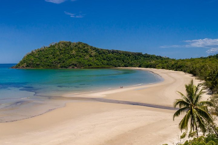 Daintree Rainforest and Cape Tribulation Day Tour from Cairns