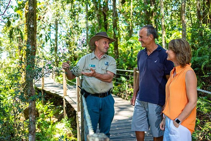 Skip the Line Kuranda Scenic Railway Gold Class and Skyrail Rainforest Cableway