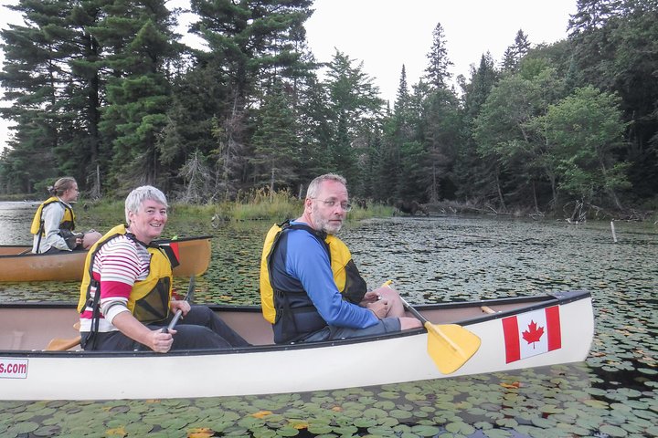 3 Day Algonquin Park Canoe Trip - Moose & Beaver Safari
