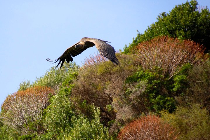 Alghero: Jeep tour to discover nature and breathtaking landscapes