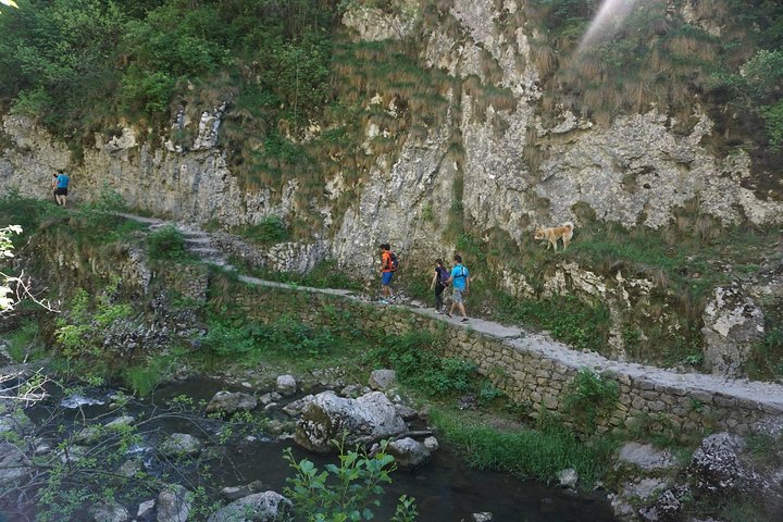 Curly Tour - Day trip from Cluj :)