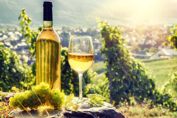 Alsace's Gems Small Group Day Tour from Colmar