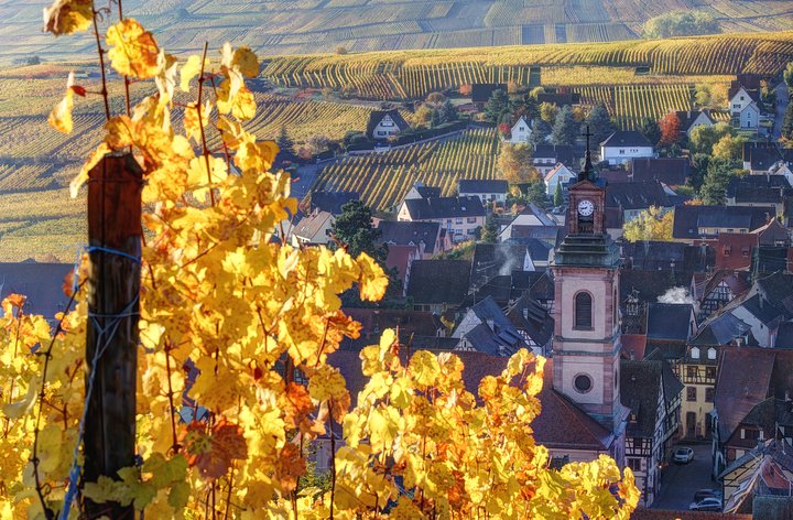 Alsace's Gems Small Group Day Tour from Colmar