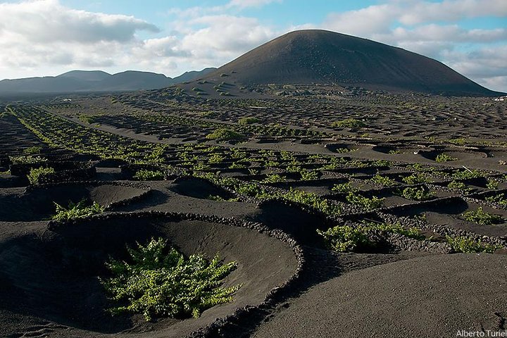 Lanzarote Island Tour (Full-day)