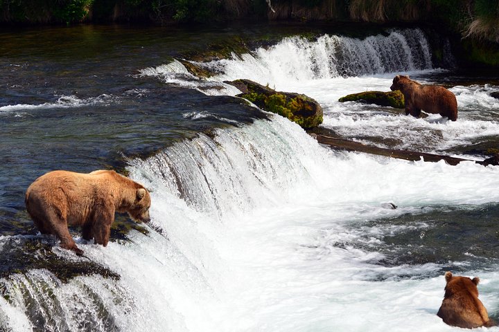 Brooks Falls Katmai Bear Viewing in a Float Plane