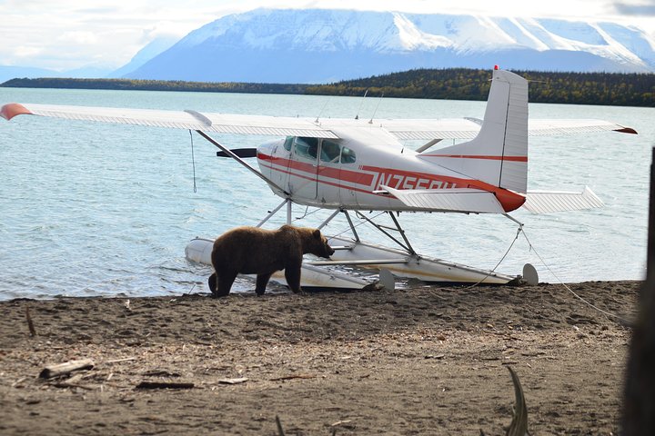 Brooks Falls Katmai Bear Viewing in a Float Plane