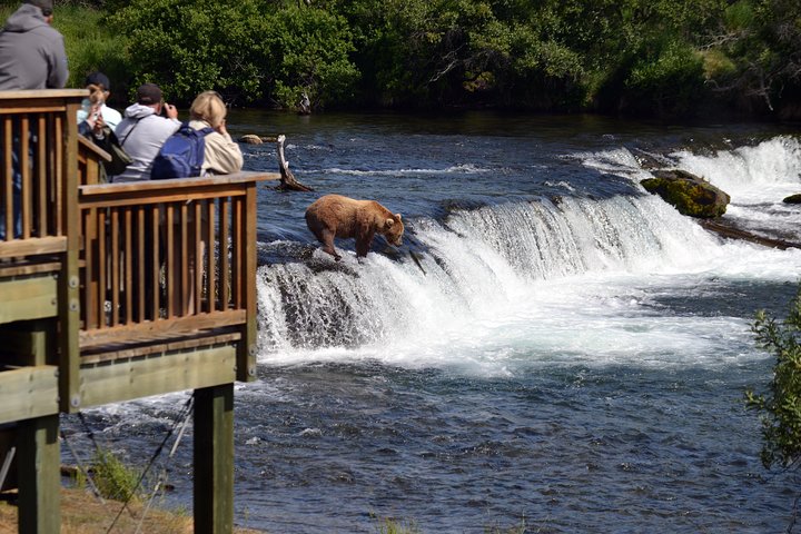 Brooks Falls Katmai Bear Viewing in a Float Plane