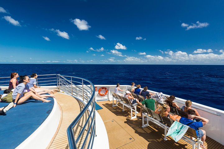 Great Barrier Reef Snorkeling and Diving Cruise from Cairns