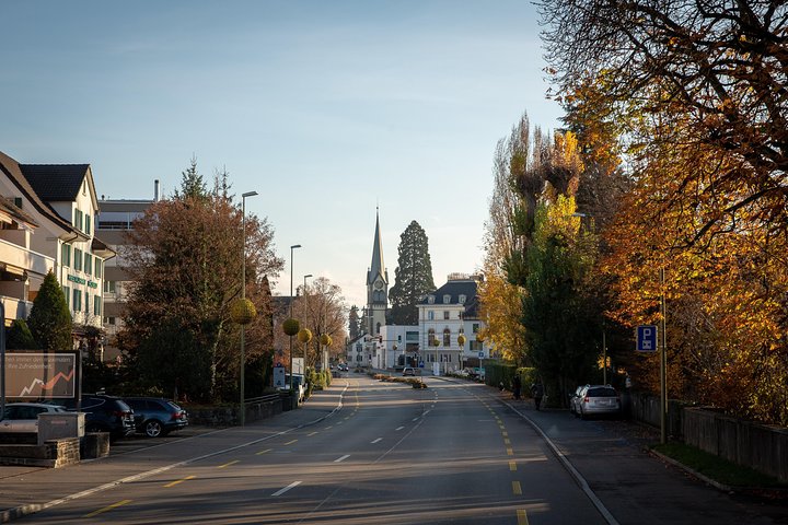 Best of Zurich Tour with Felsenegg Cable Car and Ferry Ride