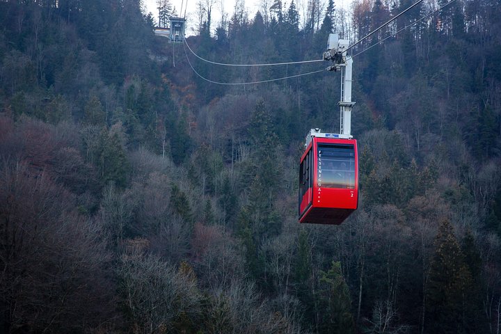 Best of Zurich Tour with Felsenegg Cable Car and Ferry Ride