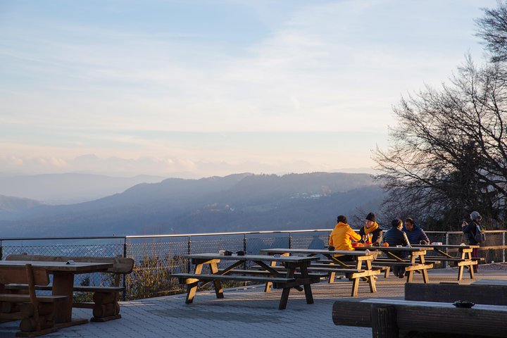 Best of Zurich Tour with Felsenegg Cable Car and Ferry Ride
