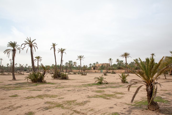 Marrakech Hot Air Balloon Ride, Berber Breakfast & Camel Ride