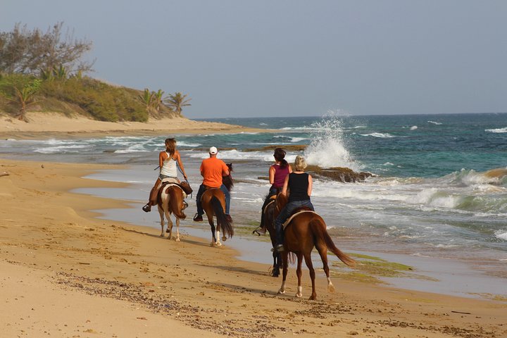 Horseback Riding through Secluded Beaches and Tropical Forests