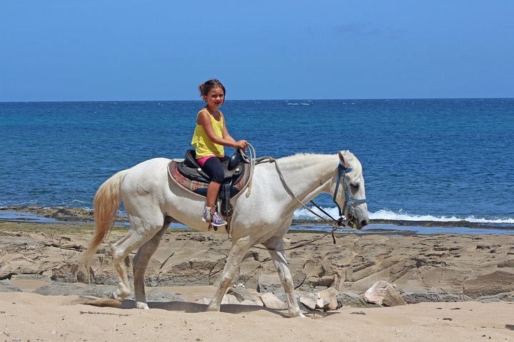 Horseback Riding through Secluded Beaches and Tropical Forests