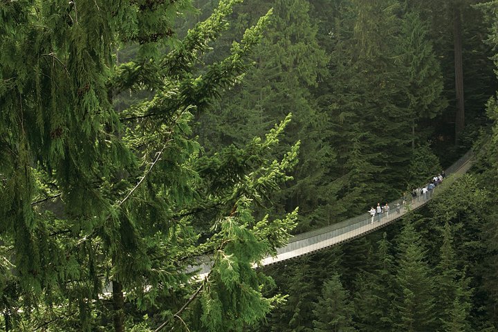 Grouse Mountain, Skyride Gondola & Capilano Bridge from Vancouver