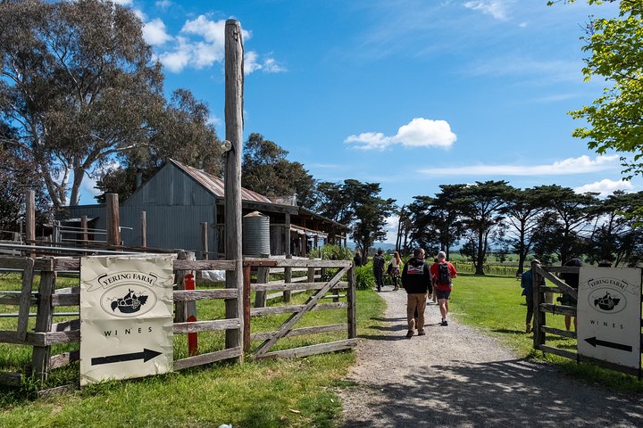 Yarra Valley Wine & Winery Tour from Melbourne - All Inclusive!