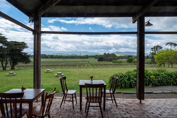 Yarra Valley Wine & Winery Tour from Melbourne - All Inclusive!