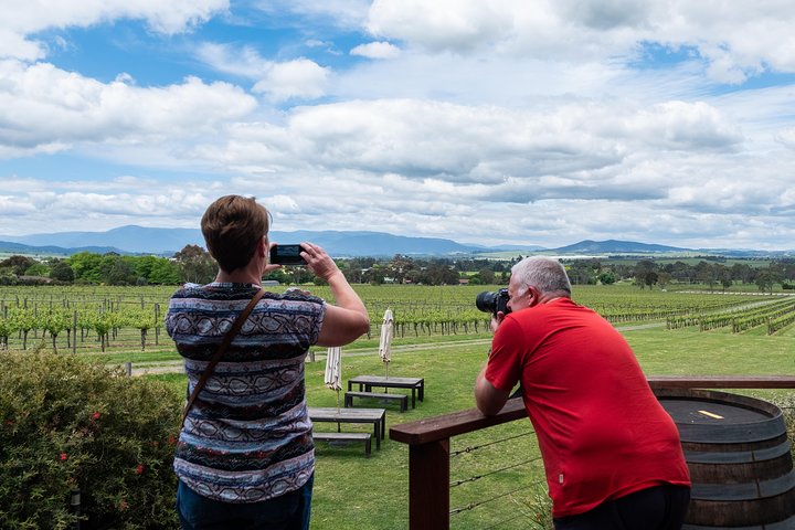 Yarra Valley Wine & Winery Tour from Melbourne - All Inclusive!