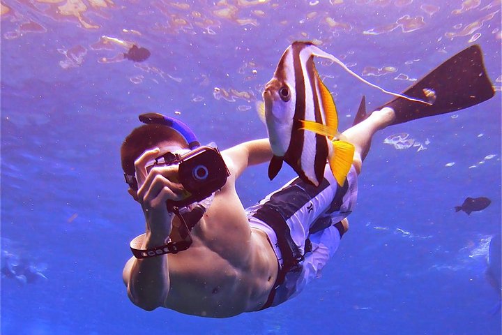 Maui Snorkeling Adventure From Ma'alaea Harbor to Molokini