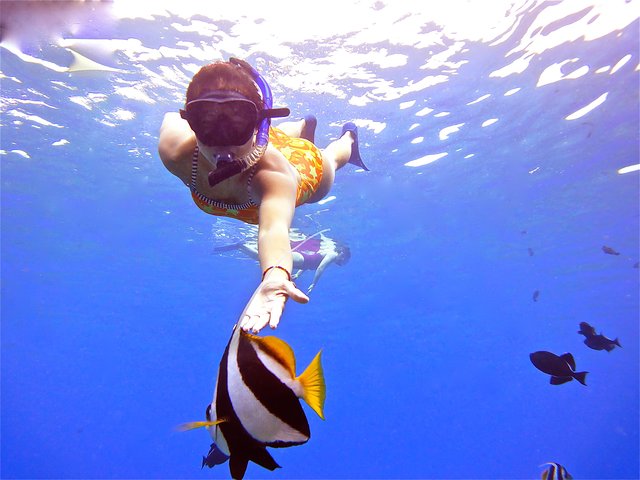 Maui Snorkeling Adventure From Ma'alaea Harbor to Molokini