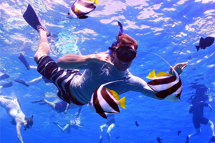 Maui Snorkeling Adventure From Ma'alaea Harbor to Molokini